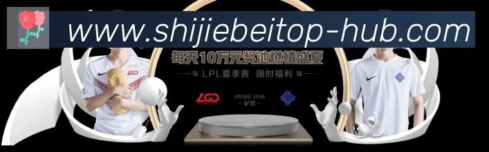 企业概况